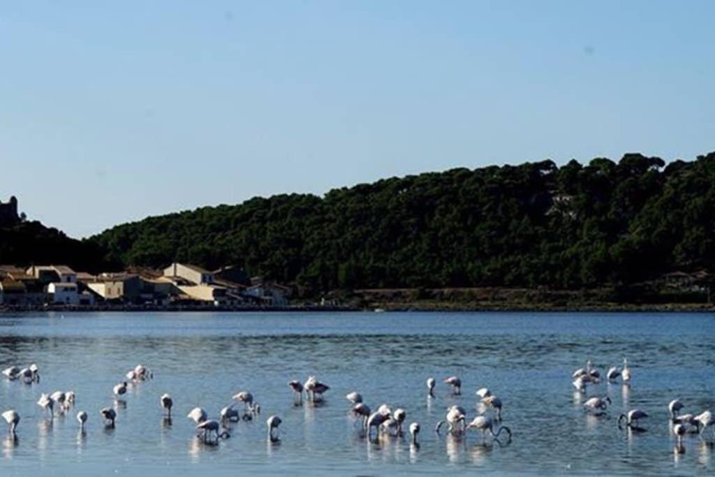 Location Gruissan, Studio, Piscine, Parking Privé Appartamento